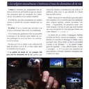 GUIDE DU NOUVEAU MUSULMAN