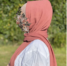 Image de l'article